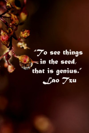 things in the seed, that is genius.” Lao Tzu – Mentors, leaders ...