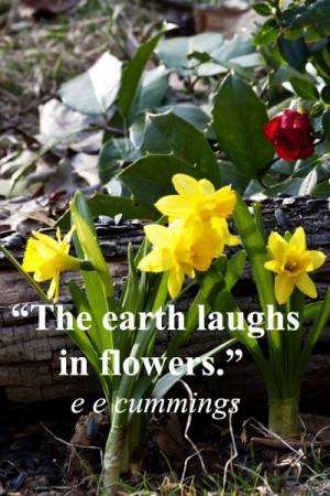 The earth laughs in flowers.” – e e cummings – Image of ...