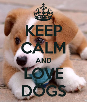 Keep Calm And Love Dogs Keep Calm And Love Dogs