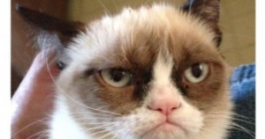 grumpy-cat-quotes-titanic-wallpaper-free-wallpaper-for-android-awesome ...