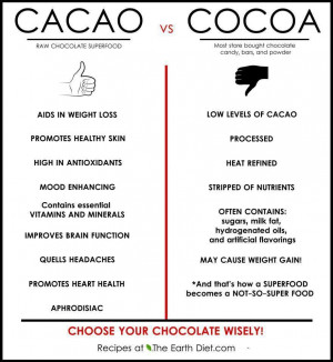 Difference between raw cacao and cocoa?