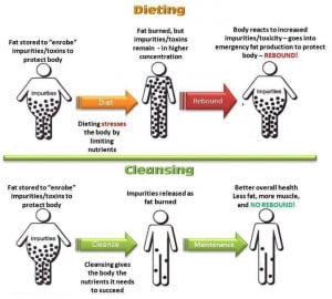 Dieting VS Cleansing