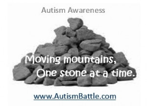 Autism Battle Moving mountains one stone at a time.