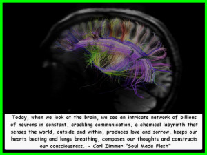 Star~Delta Triradii: Human Impulse Markers