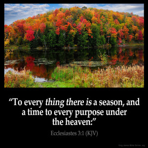 Ecclesiastes 3:1 Inspirational Image