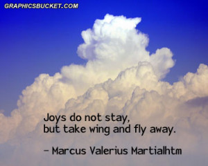 Joys Do Not Stay But Take Wing And Fly Away - Joy Quotes