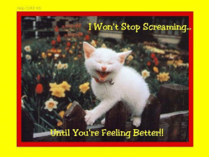 ... Stop Screaming,Until You’re Feeling Better!! ~ Get Well Soon Quote