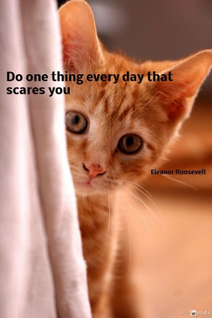 Do one thing every day that scares you ~ Eleanor Roosevelt #quote