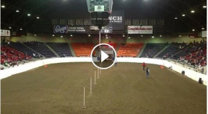 Must watch pole bending video!! Horse finishes pattern by self