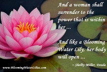 Birth Quotes/di Blooming Water Lilies ~ Doula Care