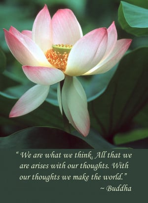 Lotus Flower Buddha Quote Photograph