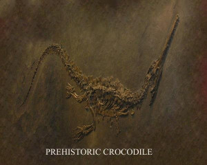 prehistoric crocodile size