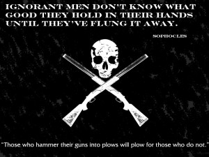 Gun Control Quote/Gun Control Poster