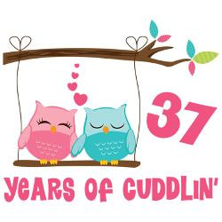 37th_anniversary_owl_couple_greeting_cards_pk_of.jpg?height=250&width ...