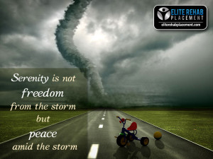 Serenity is not freedom from the storm, but peace amid the storm.