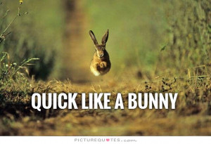 Rabbit Quotes | Rabbit Sayings | Rabbit Picture Quotes