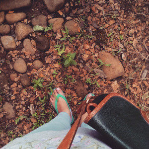 Earth! #nature #instadaily #dooney&bourke #path