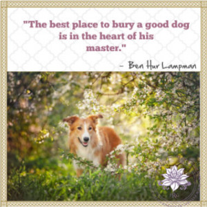 Dog Loss Quotes Of loss of pet quotes