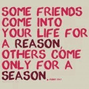 ... Life For A Reason Others Come Only For A Season - Friendship Quote