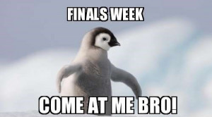 Related Pictures funny quotes about finals week