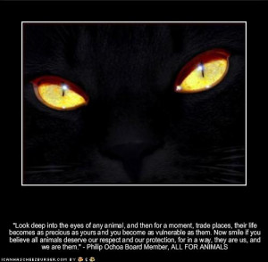 download this Quotes From Boxer Animal Farm Image Search Results ...