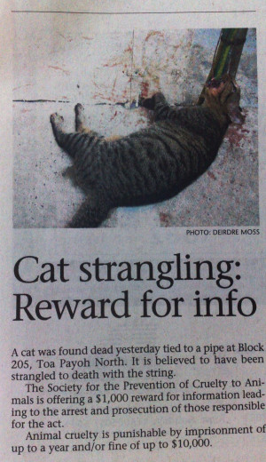 Funny Quotes Contact Us DMCA Notice