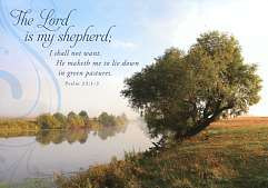 Christian Sympathy Cards - Religious Condolence Cards with Scripture