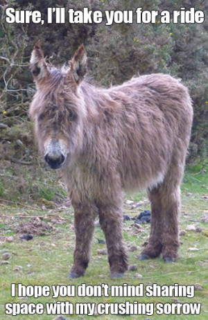 Sure I’ll Take You For A Ride I Hope You Don’t Mind Sharing Space ...