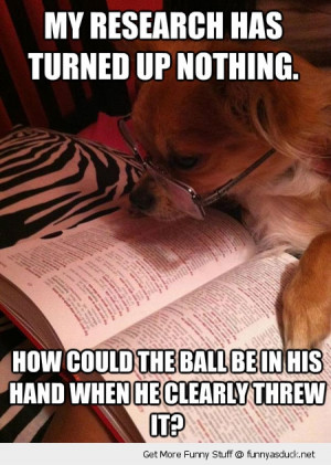 dog studying ball book animal funny pics pictures pic picture image ...