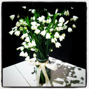 Finding these cute little flowers in winter reminded me of this quote;