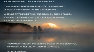 quote of the week aldo leopold quote of the day yellowstone grand ...