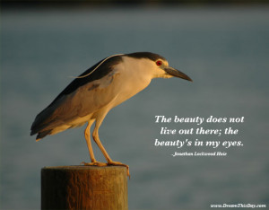 The beauty does not live out there; the beauty's in my eyes ...