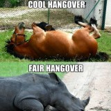 Funny Hangover MEME Jokes 2014