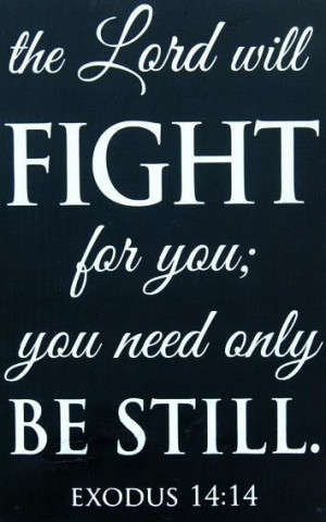 The Lord will fight for you; you need only be still. #Exodus 14:14 I ...