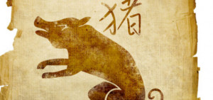Things-to-know-about-the-Chinese-Zodiac-Sign-Pig