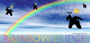 Rainbow-Bridge-Header-500.jpg