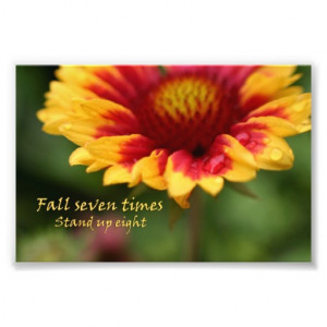 Inspirational quote colorful flower photograph