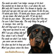 Funny Rottweiler Posters