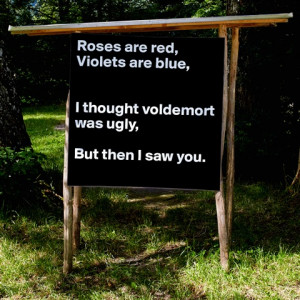 Roses Are Red Violets Are Blue I Thought Voidemort Was Ugly But When I