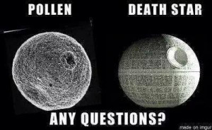 Pollen Compared To Death Star