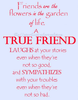 True Friends Friendship Quote With Picture