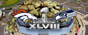 The 2014 Super Bowl Has Been Dubbed the Marijuana Bowl, Which Is Just ...
