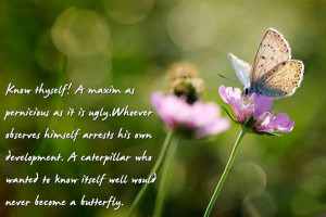Butterfly Image Quotes And Sayings