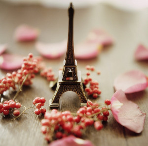 cute, eiffel tower, france, paris, photography