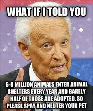 Bob barker, remember to spay and neuter your pets! Adopt