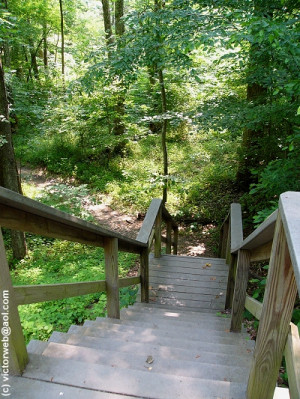 Entrance to A Trail: Prince William Forest Park