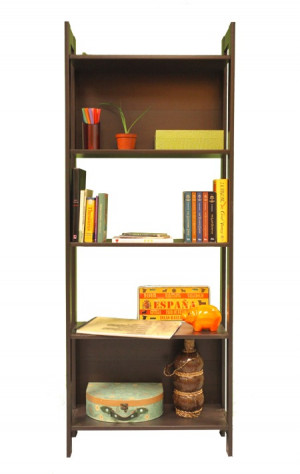IKEA LAIVA Bookcase