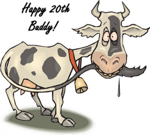 Happy 20th card, cow