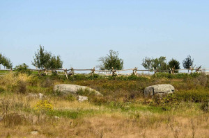 Funny Quotes Contact Us DMCA Notice