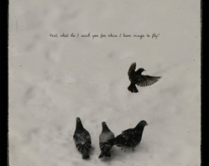 Eagles Soar Quotes of relationship quotes 1 38Quotes and more quotes ...